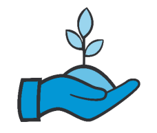 Hand holding sprouting seed.