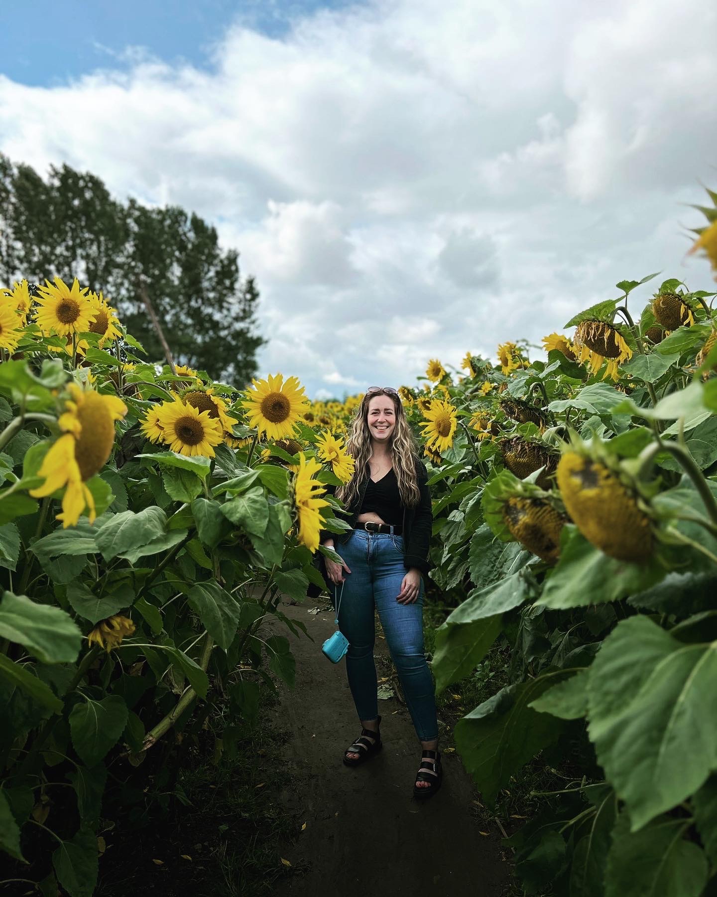 A smiling young woman with long, wavy blonde hair is standing on a narrow dirt path in the middle of a dense sunflower field. She is wearing a black crop top, a dark jacket, high-waisted blue jeans, and black sandals. She is looking directly at the camera, holding a small turquoise bag or camera strap in her right hand.  The field is packed with tall sunflowers, some in full golden-yellow bloom facing forward, while others are drooping with heavy, dark seed heads. The large green leaves and stalks flank the path on both sides, creating a natural frame around her. In the background, a line of green trees is visible under a bright, overcast sky with soft white and grey clouds.