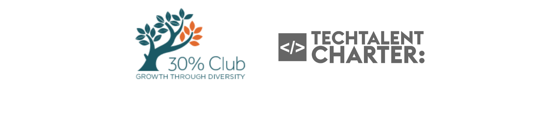 30% Club, Tech Talent Charter 