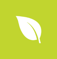 Thales - Net Zero - Image of leaf