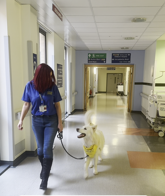 Lucy and Beau walking down a hospital corridor.