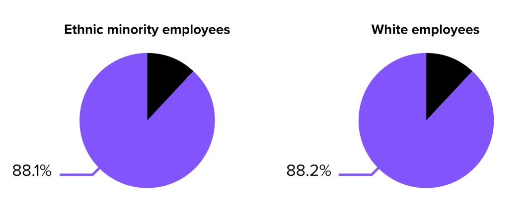 Ethnicity bonus gap