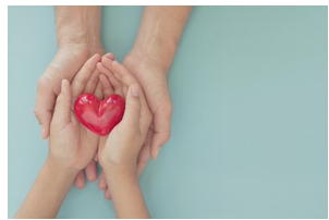 2 hands holding a heart