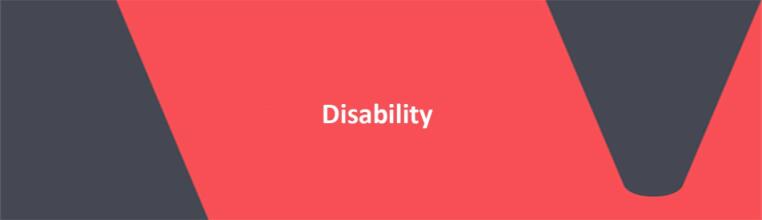 red banner with white text reading disability 