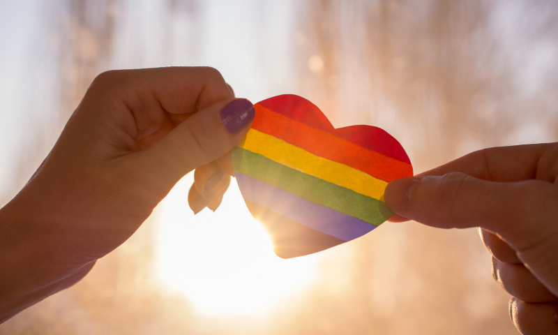 LGBT History