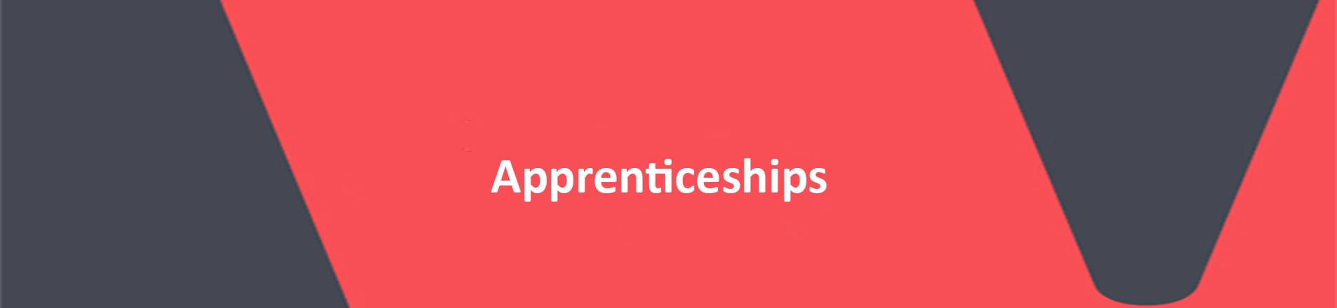 Apprenticeships. Apprenticeships.