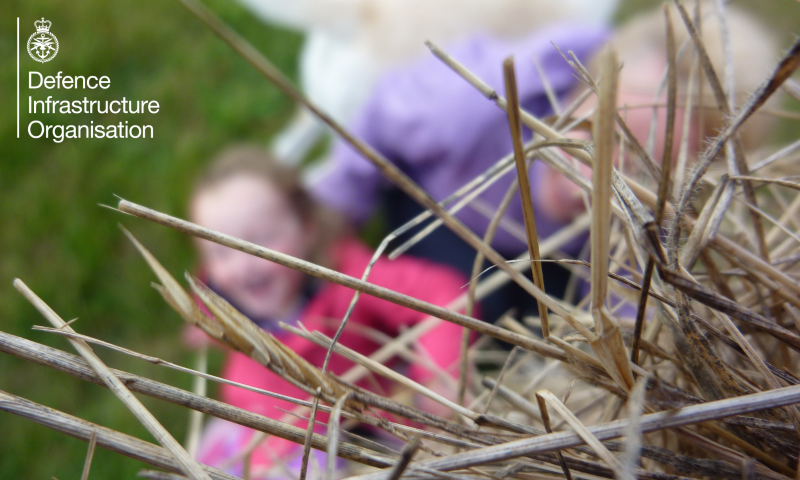 Hay with young girl and dog