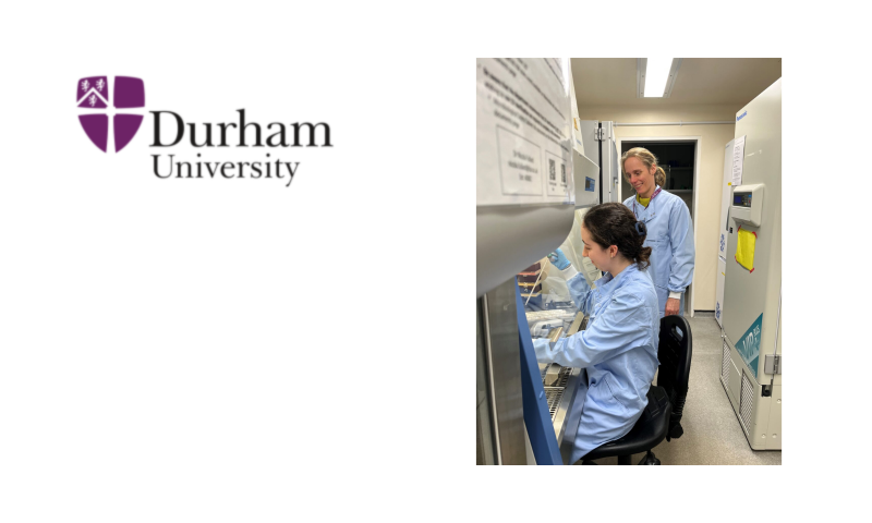 Working in the lab together with my Masters student Mary, exploring the complexities of working with human cell lines.