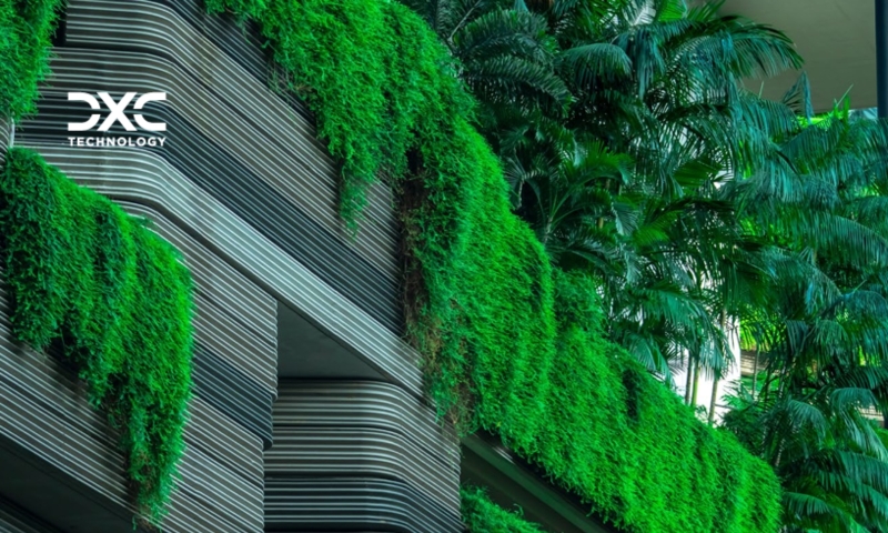 DXC image of a wall with green plants