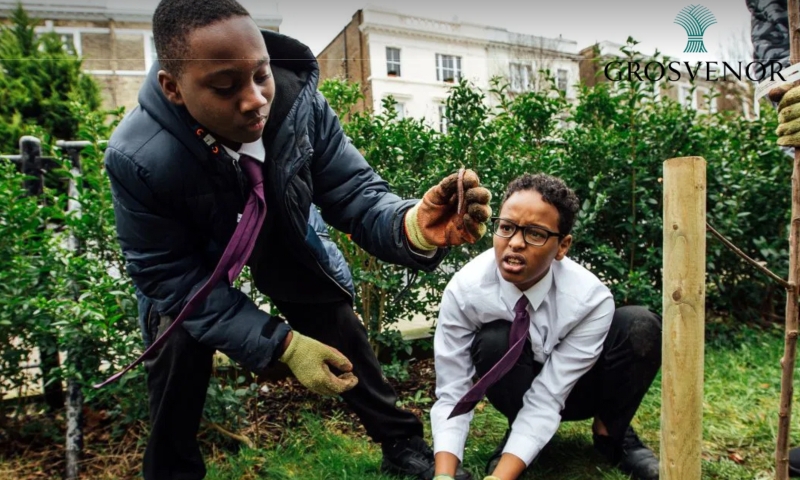 three black boys planting a tree in a garden