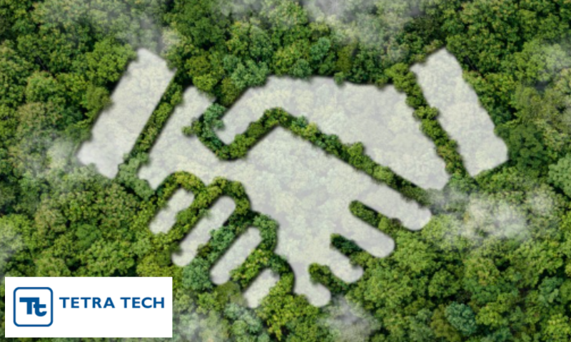 Image of shaking hand from aerial view, image made by tree pattern