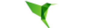 Carmichael Site Services Limited
