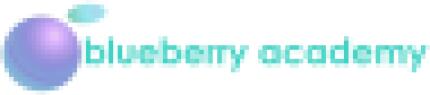 Blueberry Academy Logo