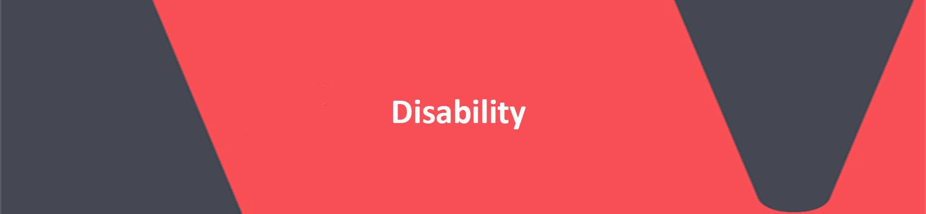 Disability header Image of the word disability in white font on a red background