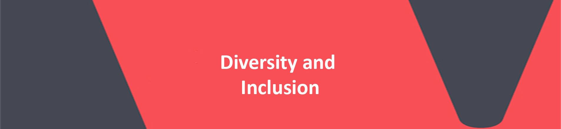 The title 'Diversity and Inclusion' on VERCIDA red background. The title 'Diversity and Inclusion' on VERCIDA red background.